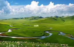 内蒙古确立草原保护修复时间表