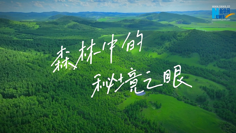 【“飞阅”中国】森林中的秘境之眼