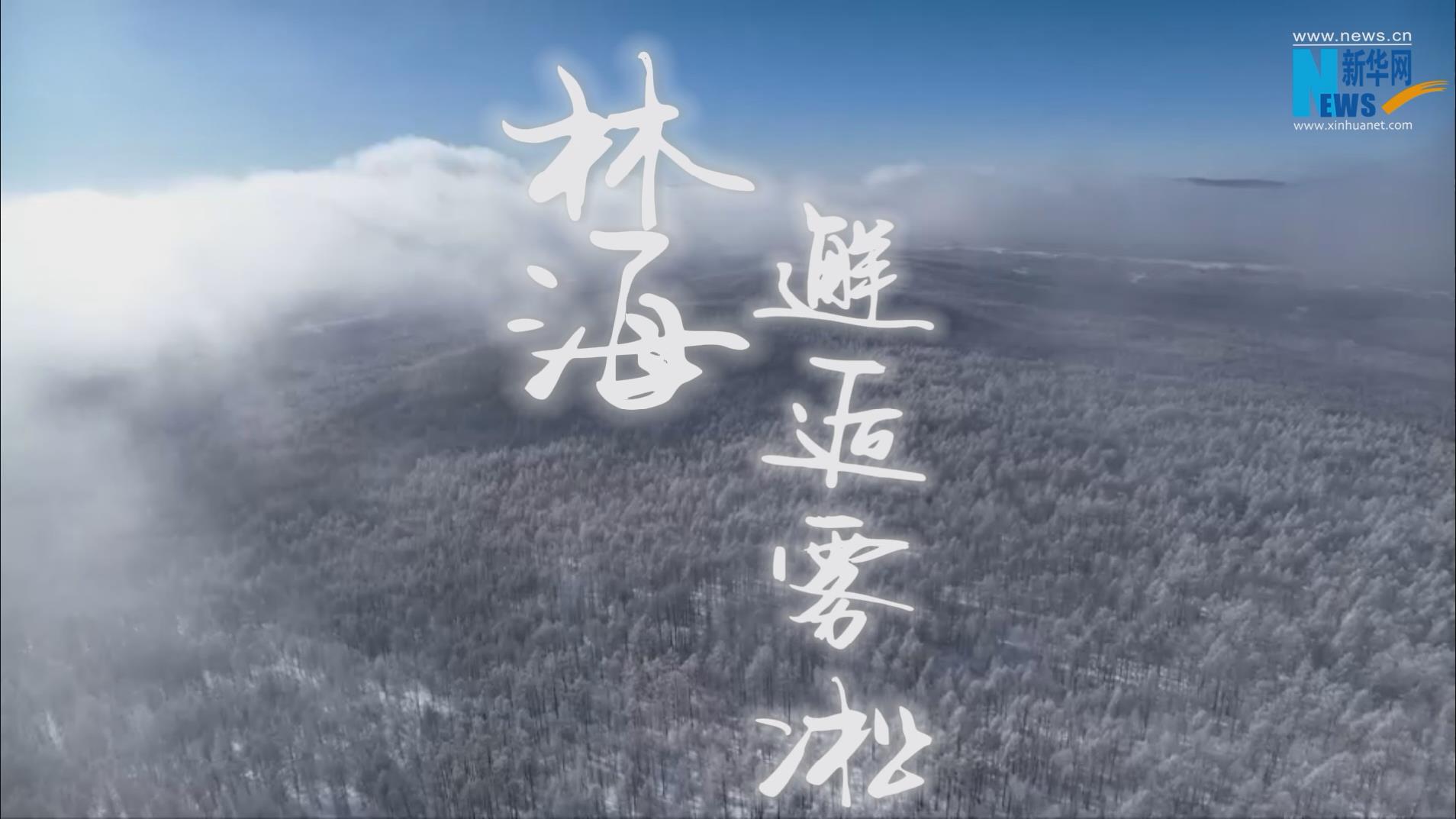 【“飞阅”中国】林海邂逅雾凇