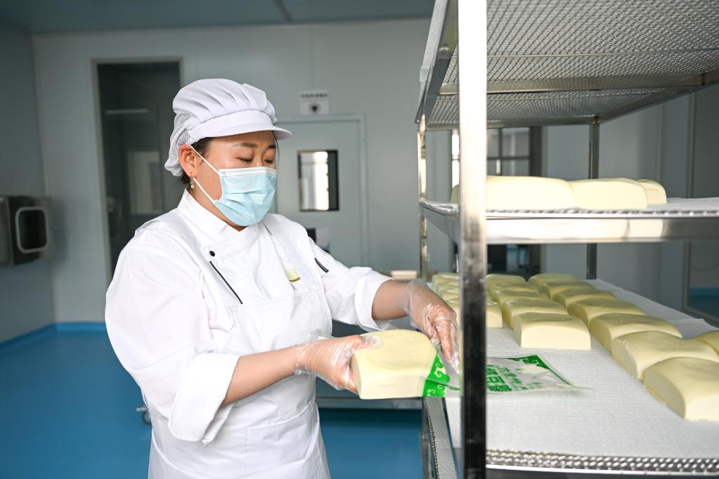 内蒙古镶黄旗：传统奶制品产业助力乡村振兴