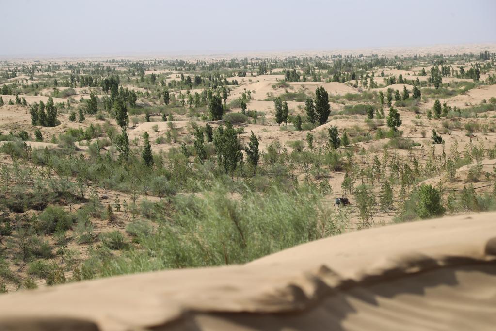 內蒙古庫布其沙漠生態治理效果顯著