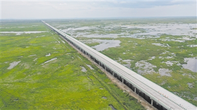 守护湿地生态 海满高速“路改桥”