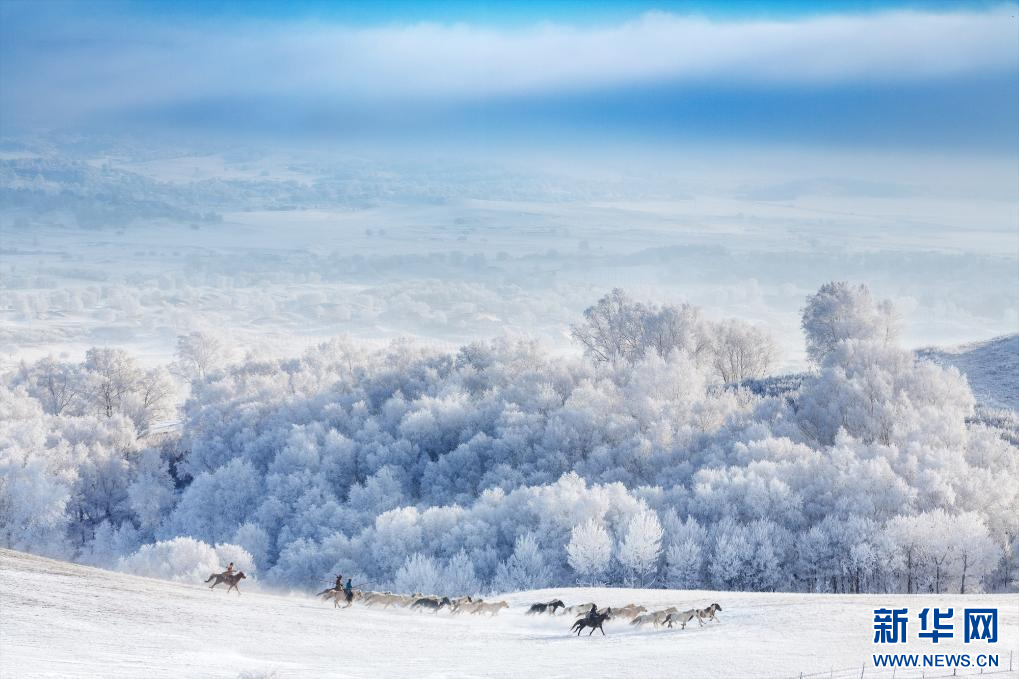 冬日草原雪景如画